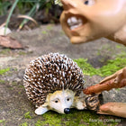 Pixie Poking his little Hedgehog Friend with a Stick