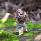 Pixie Carrying a Hedgehog