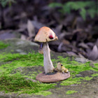 Frog looking up to a Lady Bug on top of a Mushroom