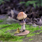 Frog looking up to a Lady Bug on top of a Mushroom