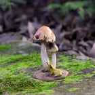 Frog looking up to a Lady Bug on top of a Mushroom