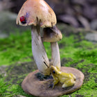 Frog looking up to a Lady Bug on top of a Mushroom