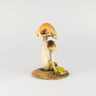 Frog looking up to a Lady Bug on top of a Mushroom