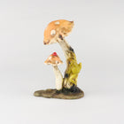 Frog Climbing up a  Mushroom with Lady Bug
