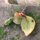 Green and Orange Frogs on a Leaf with a Lady Beetle