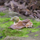 Baby Fairy Asleep on a Leaf next to her little Puppy Friend