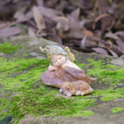 Baby Fairy Asleep on a Leaf next to her little Puppy Friend