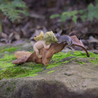 Baby Fairy Asleep on a Leaf with a little Kitten