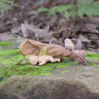 Fairy Baby asleep under a Leaf with a little Owl friend watching out for her