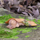 Fairy Baby Asleep under a leaf with a little Frog friend watching out for her