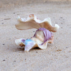 Cute Mermaid Sleeping in a Clam Shell