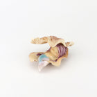 Cute Mermaid Sleeping in a Clam Shell