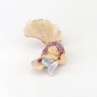 Cute Mermaid Sleeping in a Clam Shell