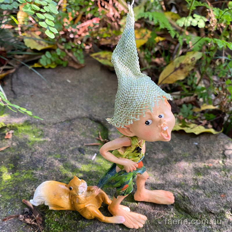 Pixie Boy trying to Get Away from his Squirrel Friend (b)