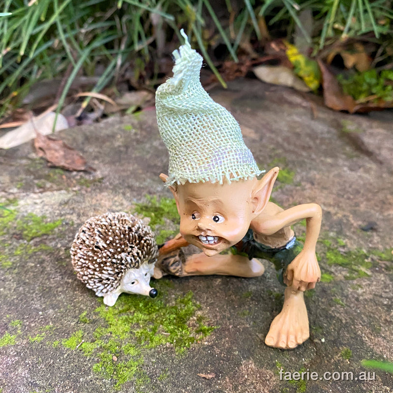 Pixie Poking his little Hedgehog Friend with a Stick