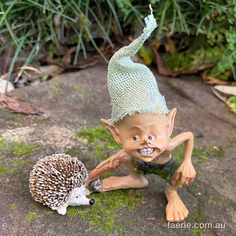 Pixie Poking his little Hedgehog Friend with a Stick