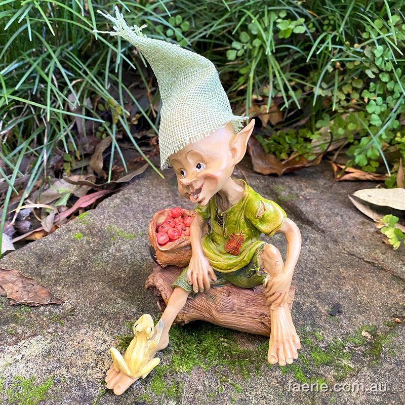 Pixie Sitting with a Bag of Apples and his Little Frog Friend