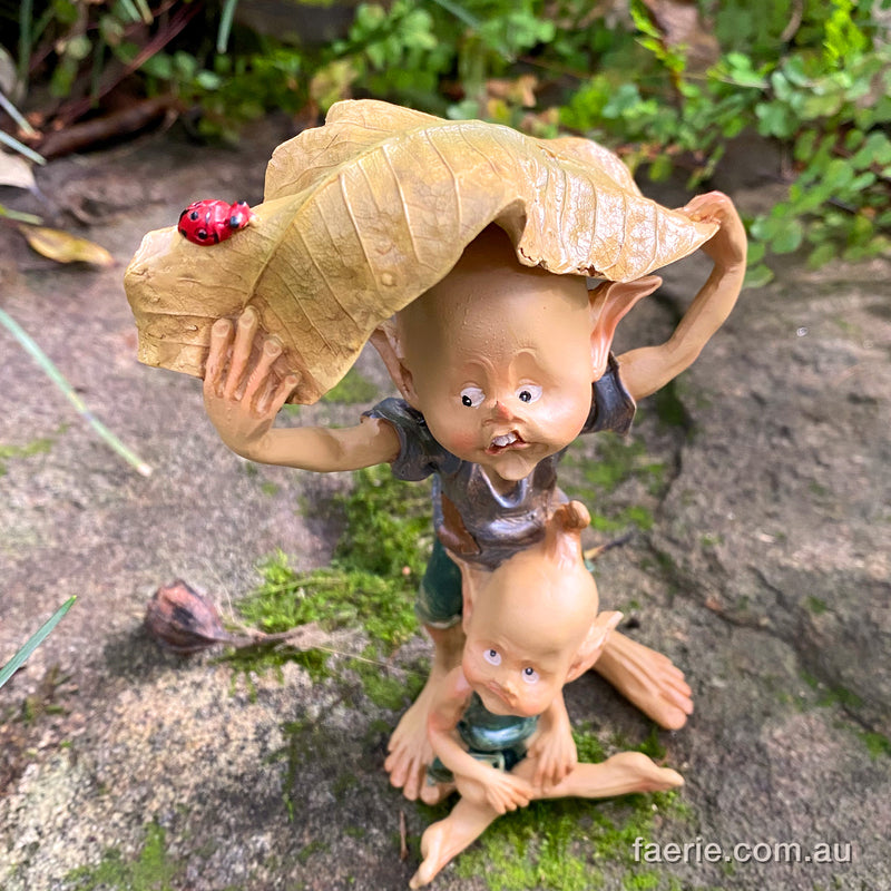 Pixie Brothers trying to Shelter from the Rain Under a Leaf