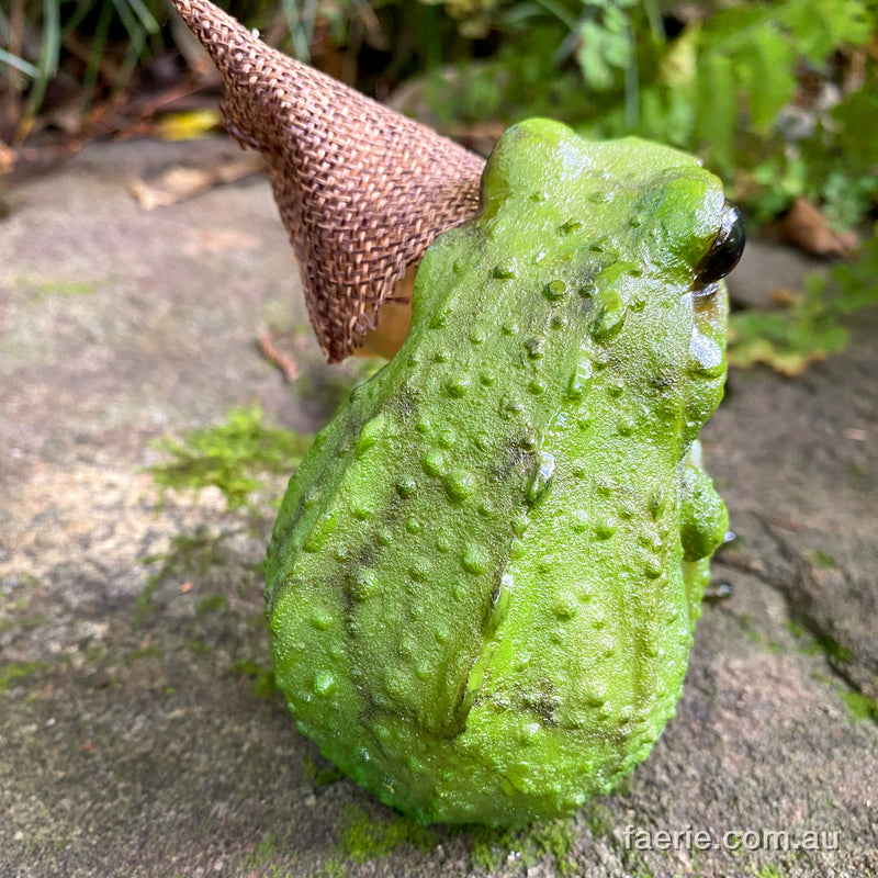 Pixie Boy getting a Cuddle from his Frog Friend