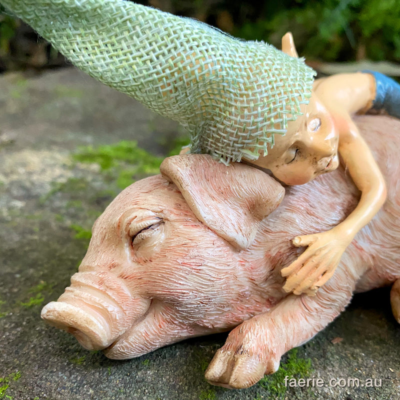 Sleepy Pixie and Pig Friends having a Snooze Together