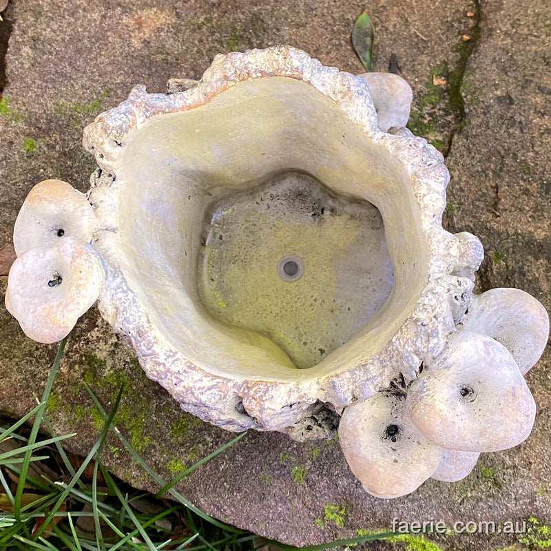 Small "Mushroom Log Plant Pot" Concrete Planter