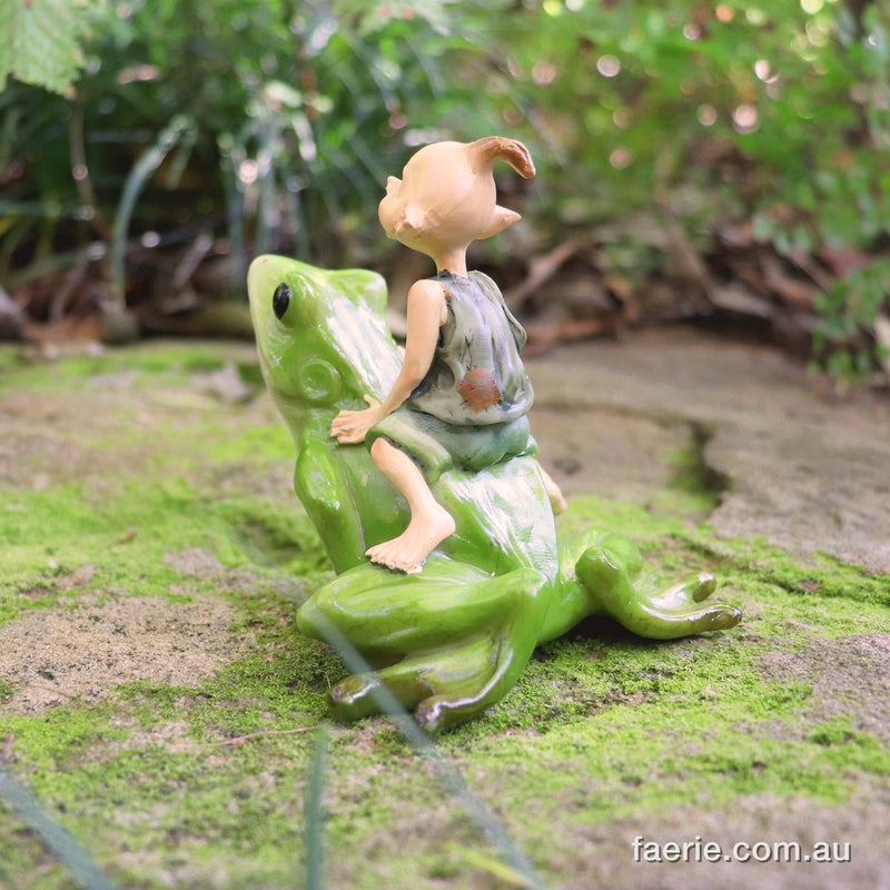 Pixie Riding His Frog Friend