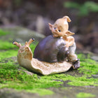 Pixie Giving a Snail a little Push Along