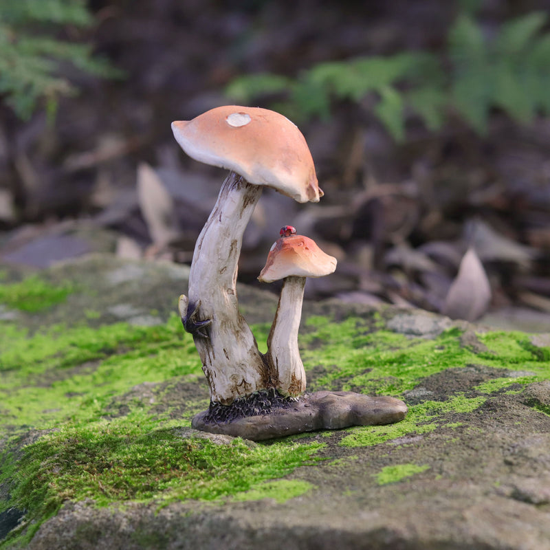 Frog Climbing up a  Mushroom with Lady Bug