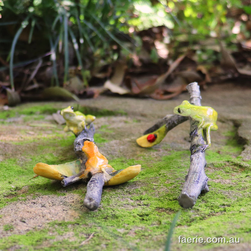 Gorgeous Green and Orange Frogs Playing on a Couple of Sticks