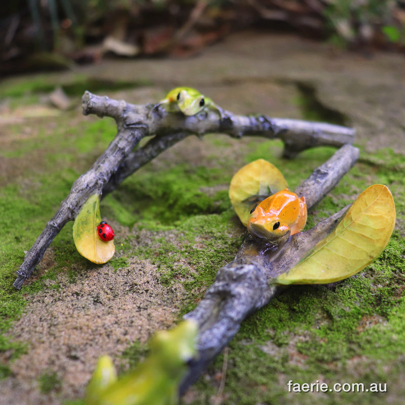 Gorgeous Green and Orange Frogs Playing on a Couple of Sticks