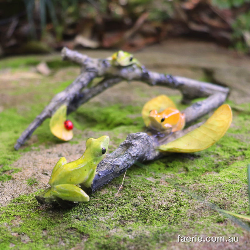 Gorgeous Green and Orange Frogs Playing on a Couple of Sticks